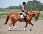 Solen