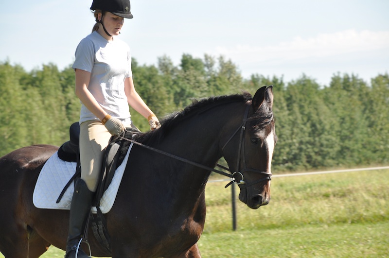 Colonel Hogan - Foxhaven Farms