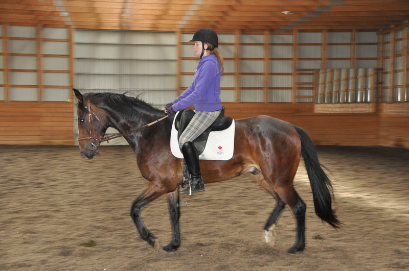 Colonel Hogan - Foxhaven Farms