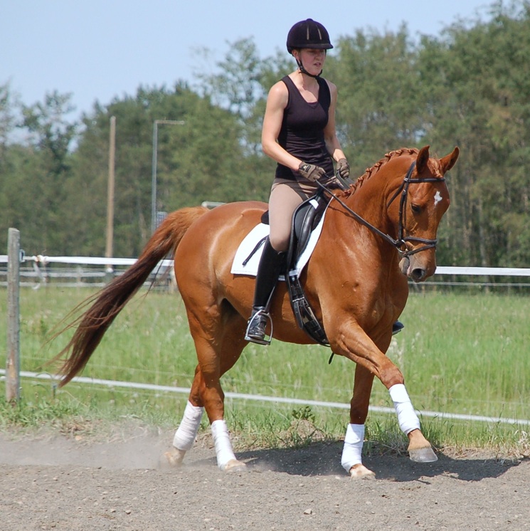 Solen canter