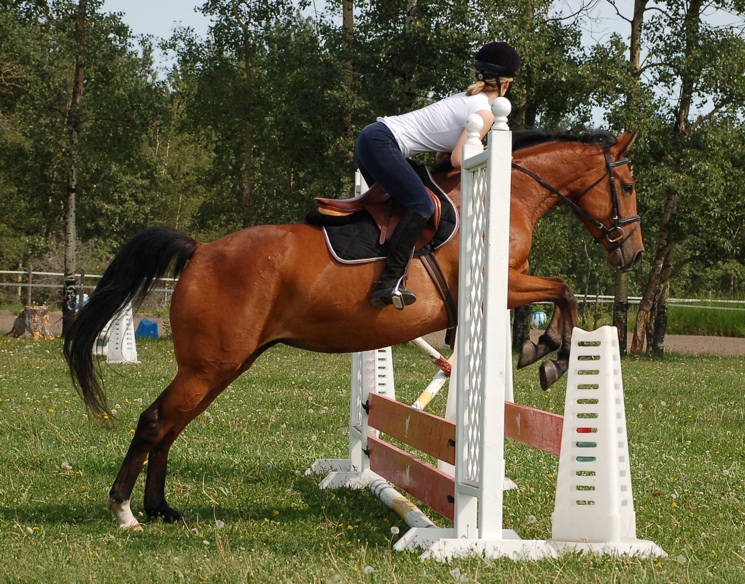 Stiltskin jumping