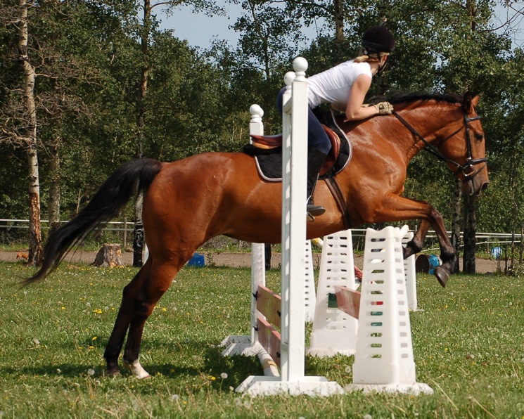 Stiltskin jumping