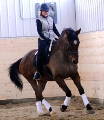 Trooper - canter