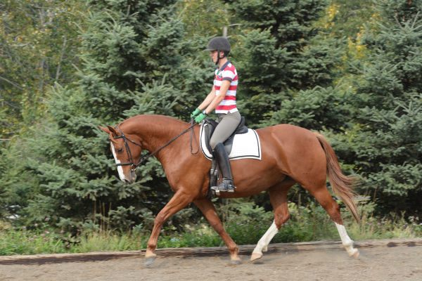 Issy - Foxhaven Farms