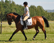 Nefertiti - Foxhaven Farms